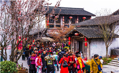 友朋自远方来